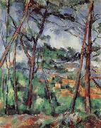 Paul Cezanne Lanscape near Aix-the Plain of the arc river USA oil painting reproduction